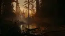 Alan Wake 2